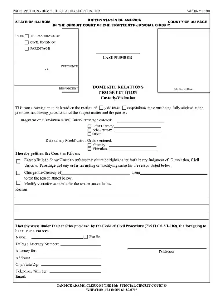 DOMESTIC RELATIONS PRO SE PETITION Custody Visitation Preview on Page 1