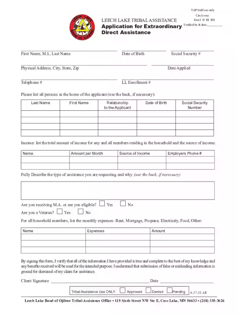 Application for Extraordinary Direct Assistance Preview on Page 1