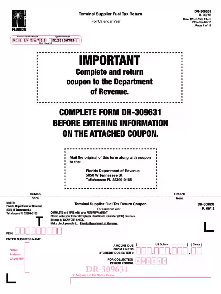 2018 fl tax form Preview on Page 1