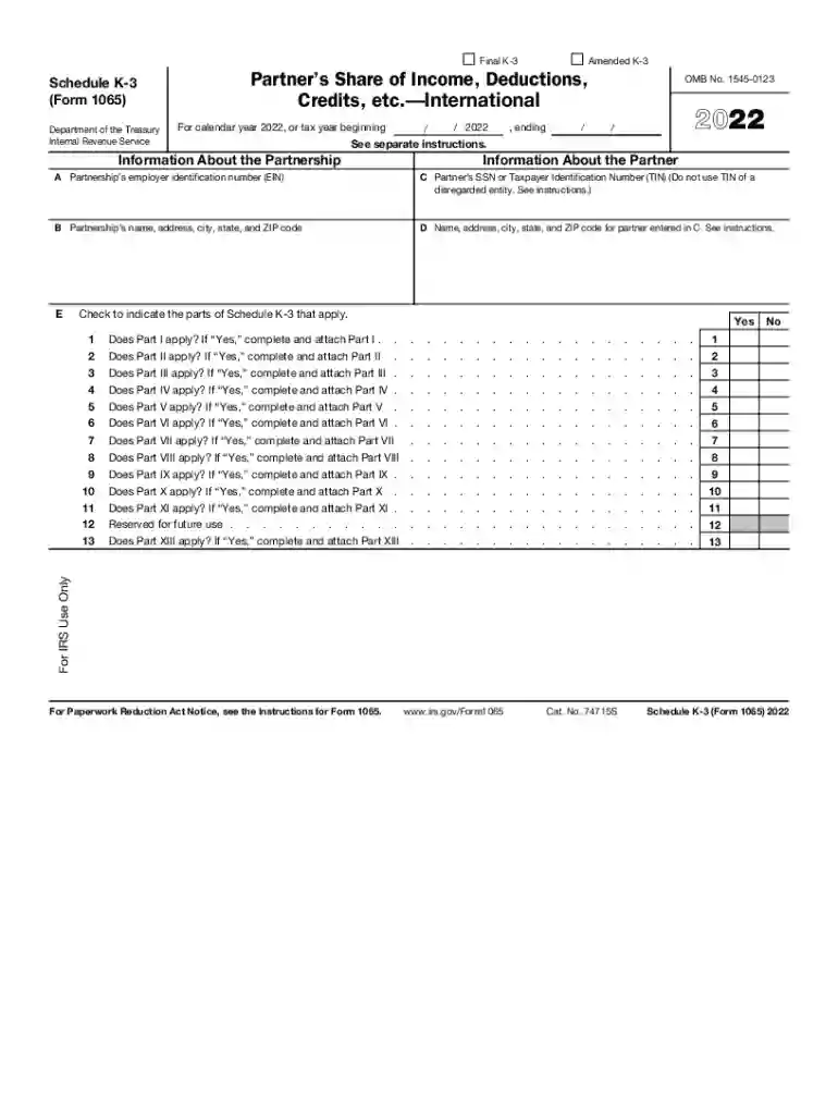 what is a k2 tax form Preview on Page 1