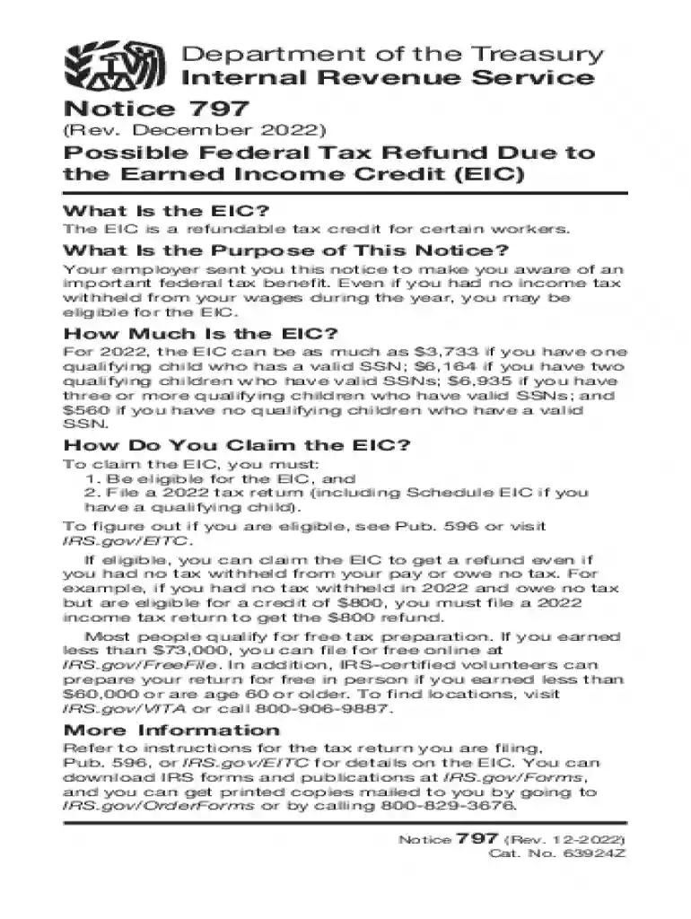 2022 irs notice 797 Preview on Page 1
