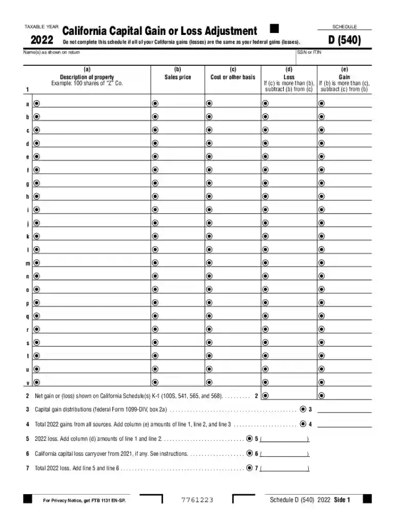 schedule d 540 Preview on Page 1