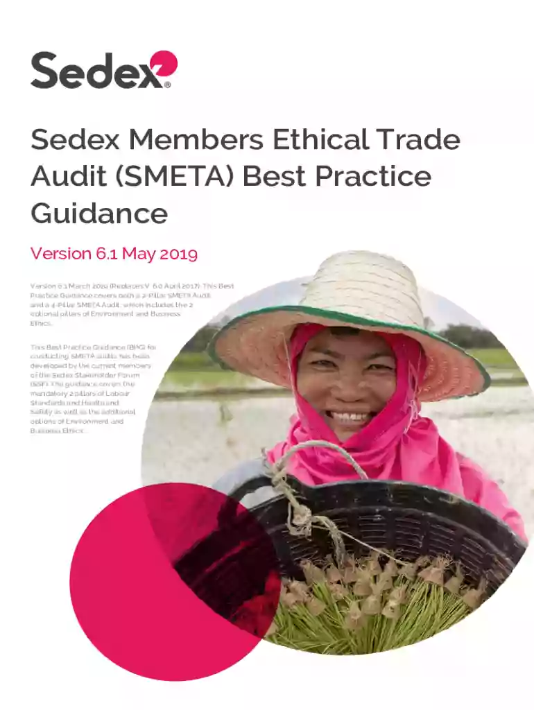 smeta best practice guidance pdf Preview on Page 1