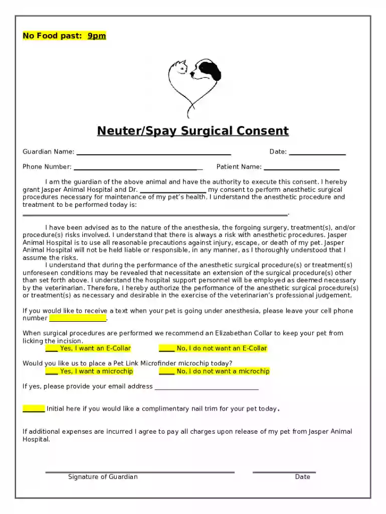 Canine Spay and Neuter Consent Form Preview on Page 1