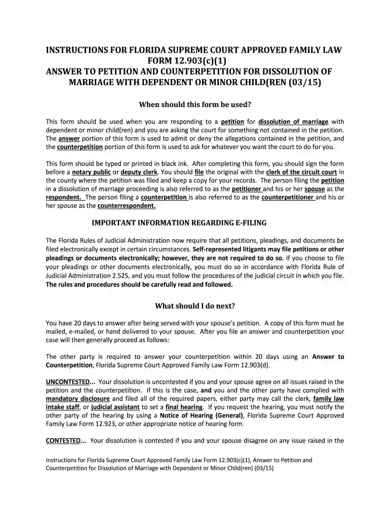 answer and counter petition Preview on Page 1