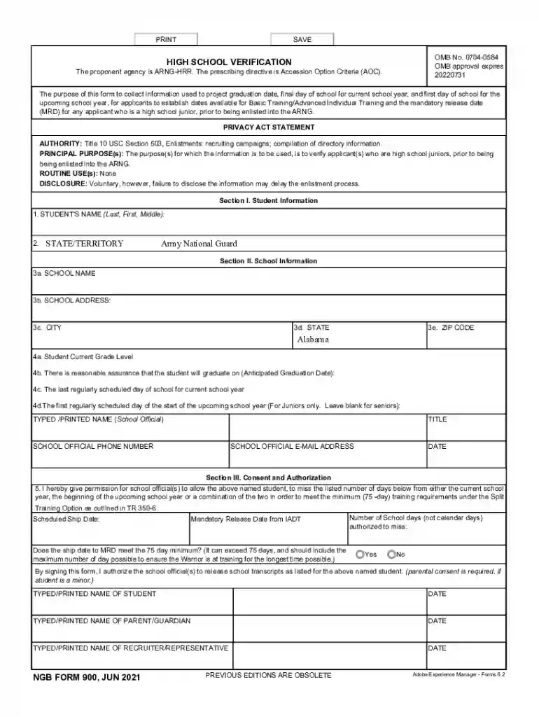 ngb form 900 Preview on Page 1