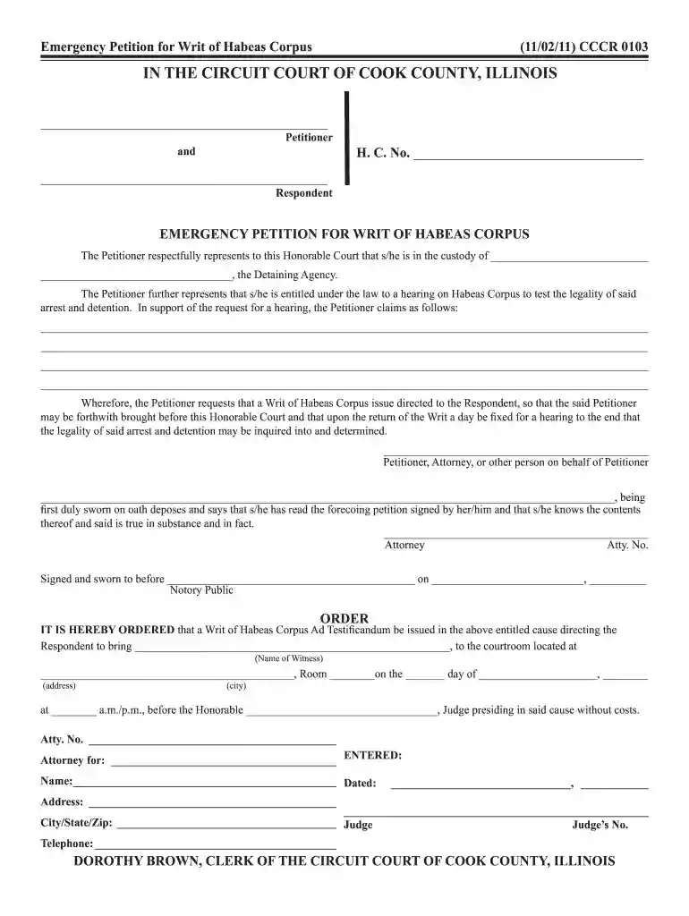 sample petition for writ of habeas corpus child custody Preview on Page 1