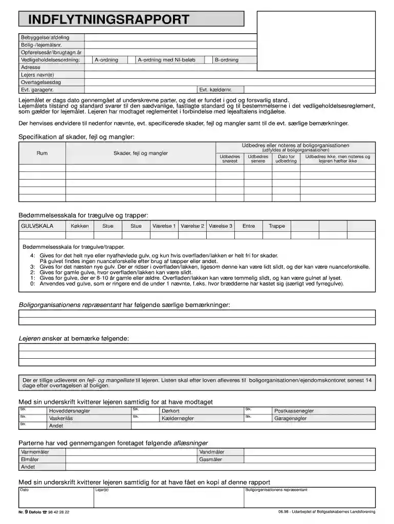 indflytningsrapport Preview on Page 1