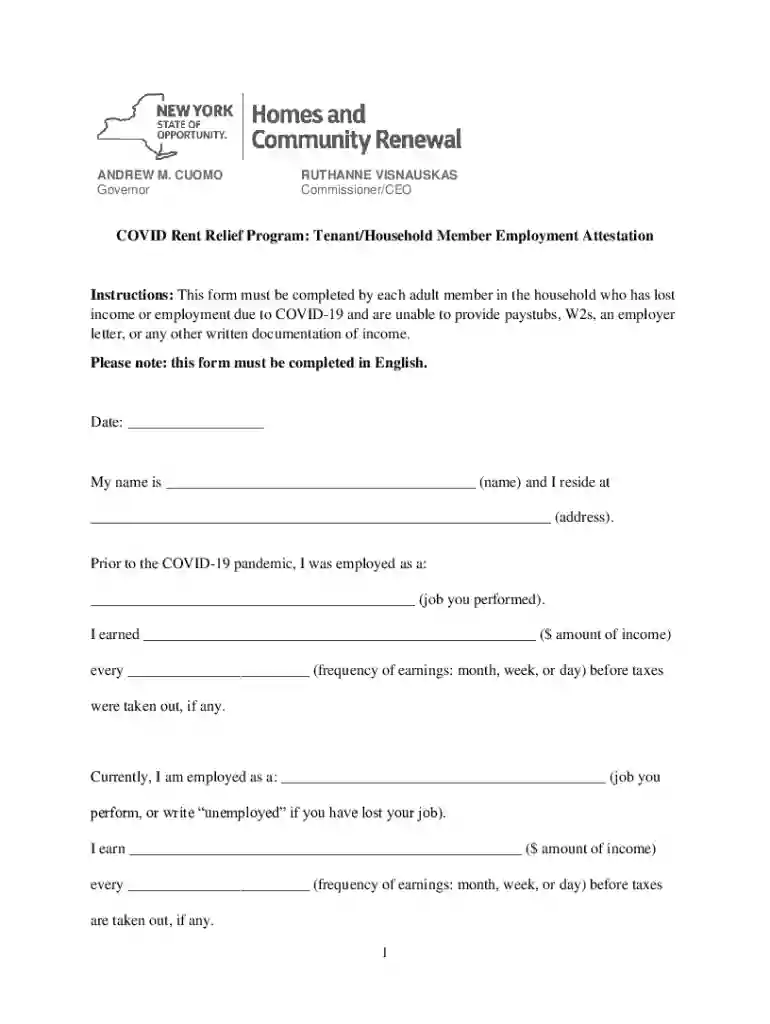 relief attestation form Preview on Page 1