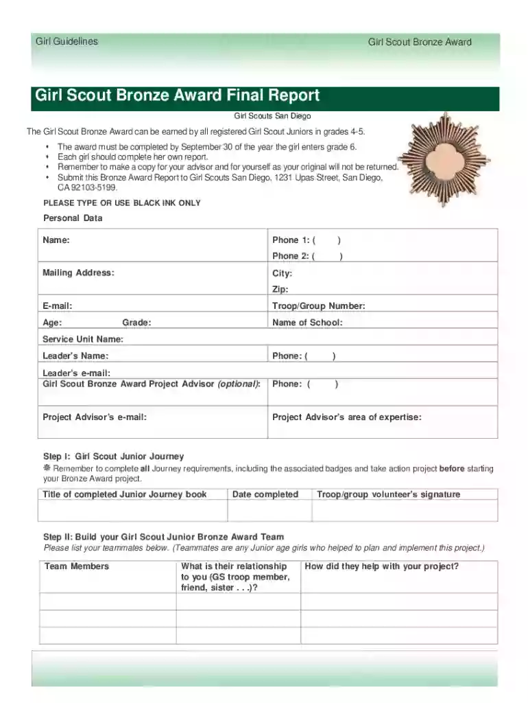 girl scout bronze award planning chart Preview on Page 1