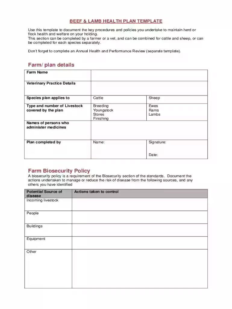 Beef and Lamb Health Plan Template Preview on Page 1