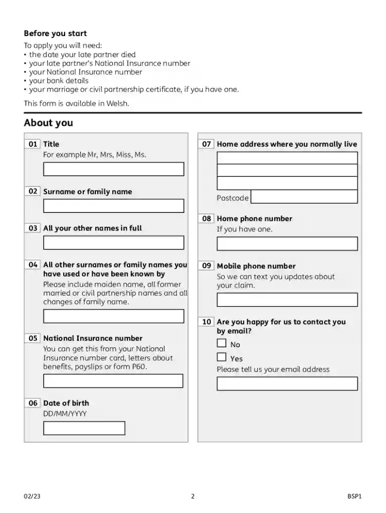 bsp1 form Preview on Page 1
