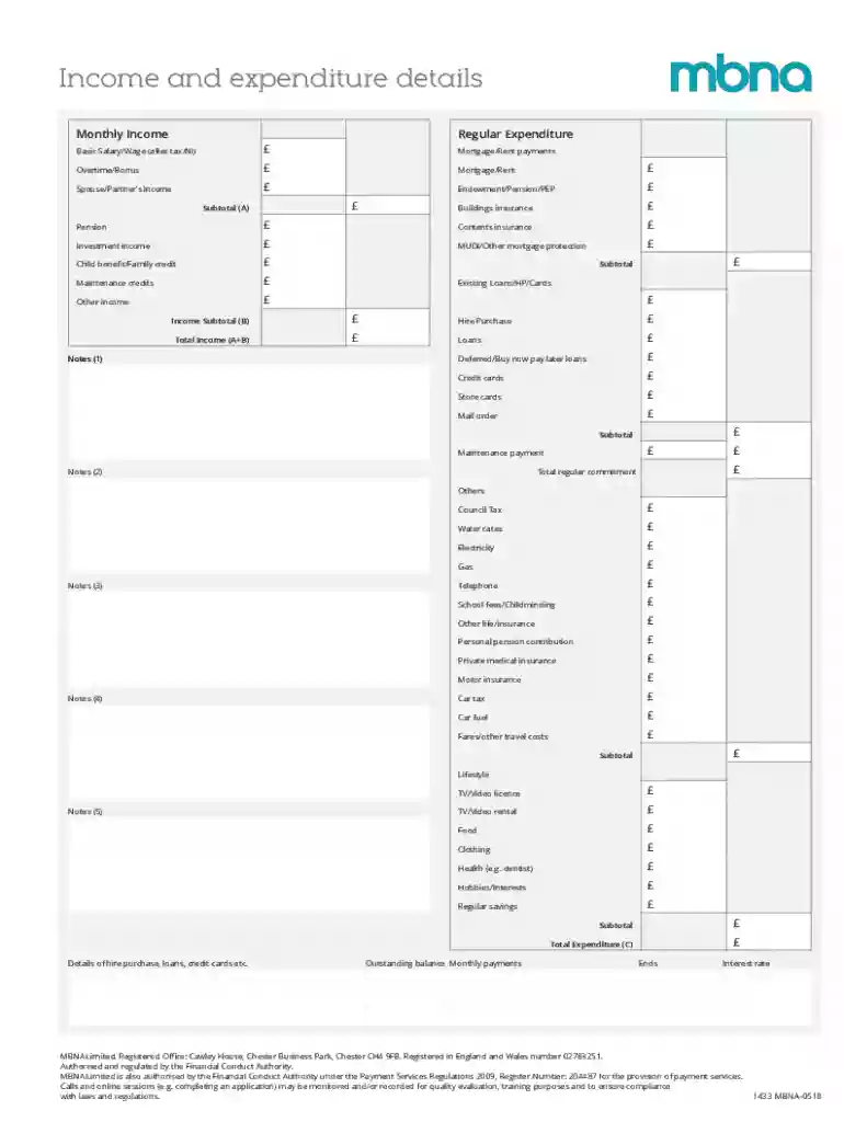 Income and Expenditure Details Form Preview on Page 1