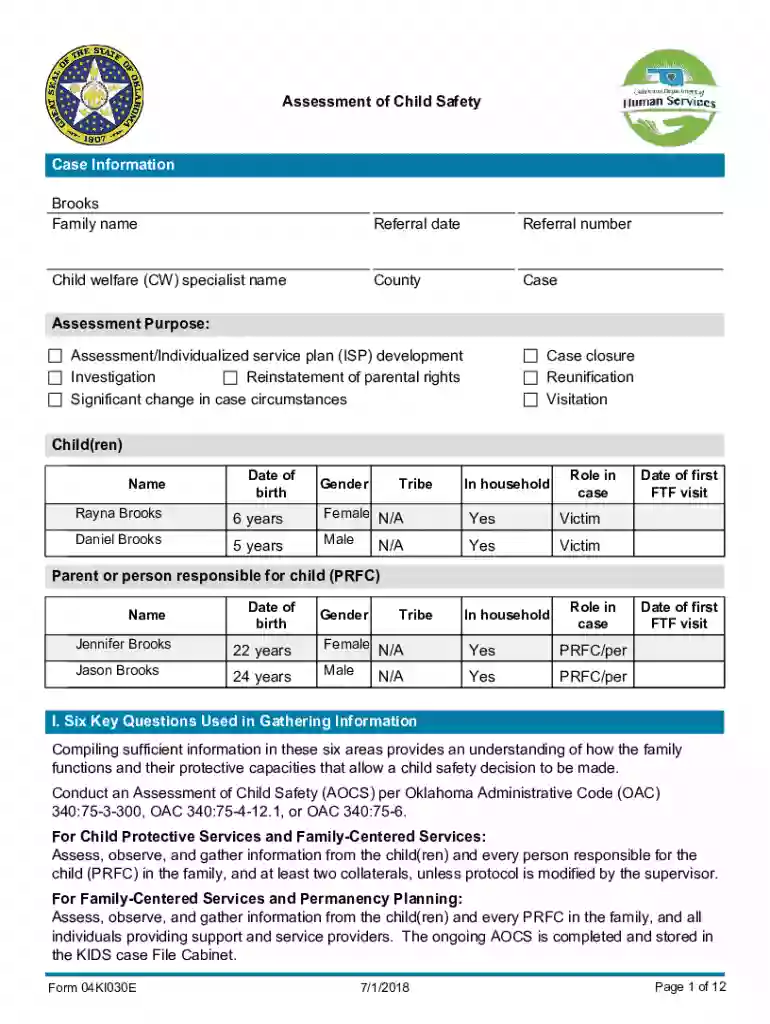 Assessment of Child Safety Preview on Page 1