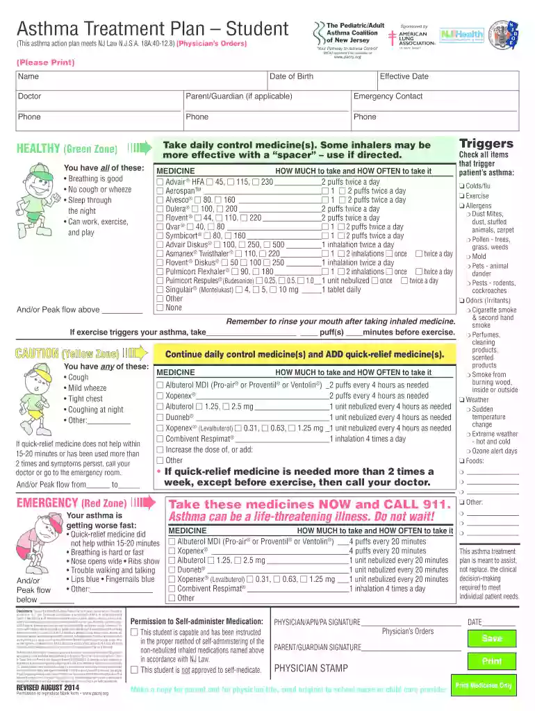 asthma action plan example filled out Preview on Page 1