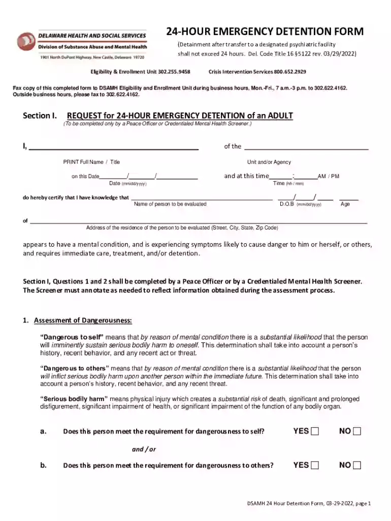 24 hour emergency detention form Preview on Page 1