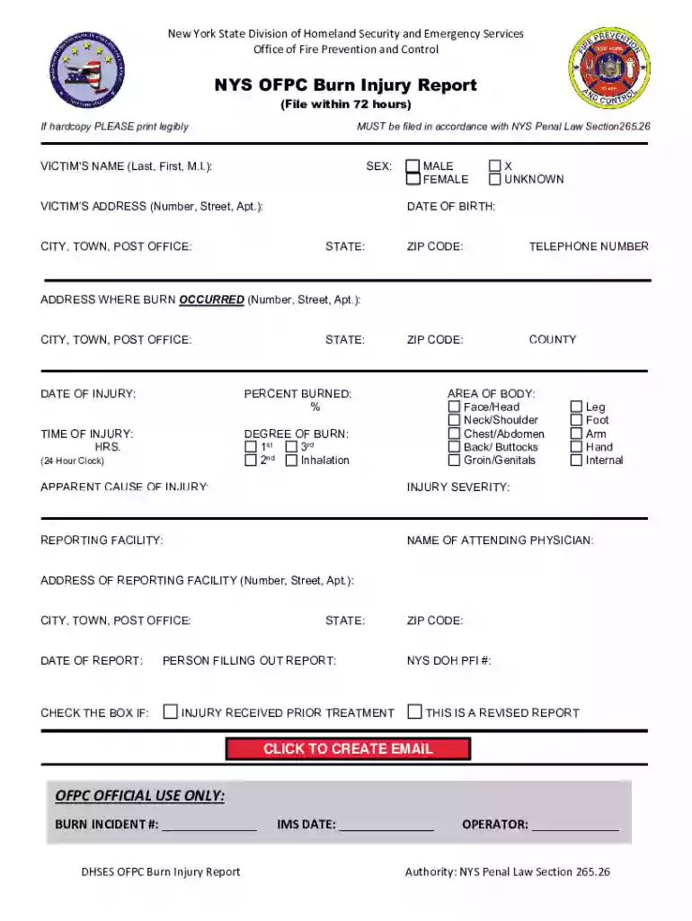 Nys Burn Report - Fill Online, Printable, Fillable, Blank Preview on Page 1