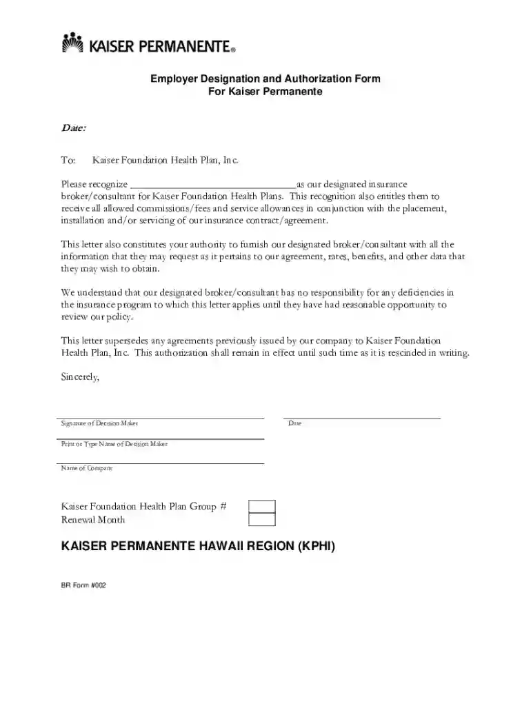 Employer Designation and Authorization Form 3-08 BR #002a doc Preview on Page 1