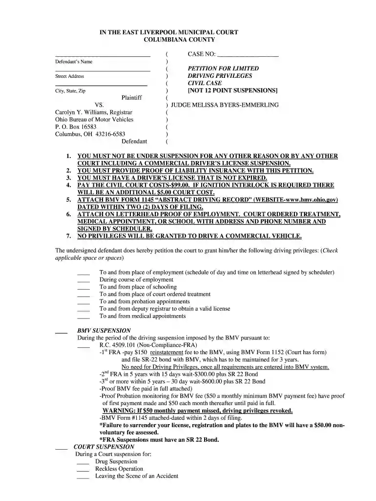 sample letter for driving privileges from employer Preview on Page 1