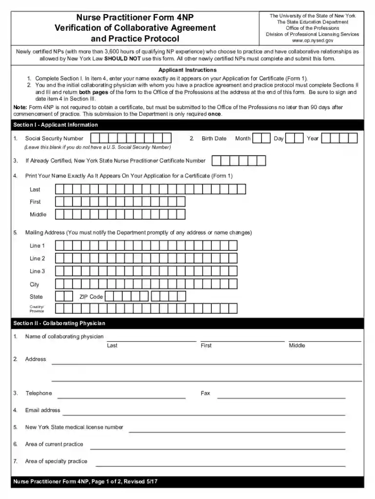 form 4np Preview on Page 1