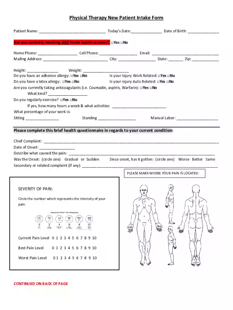 Date of IE: P T Patient Name Preview on Page 1