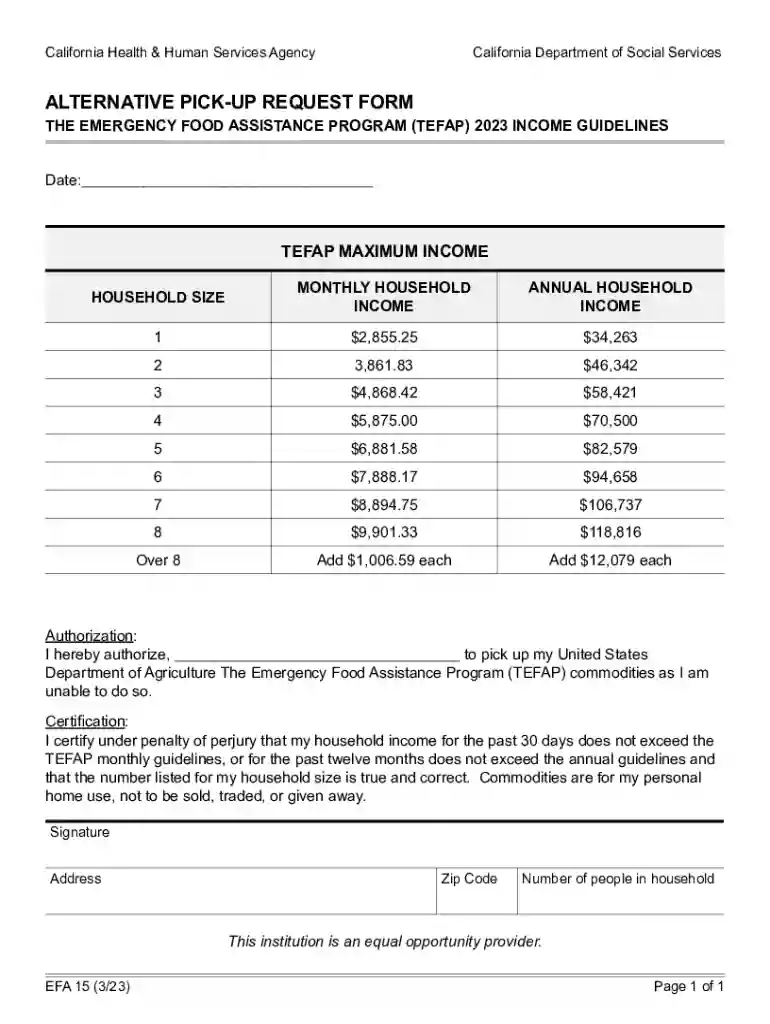 efa 15 form Preview on Page 1