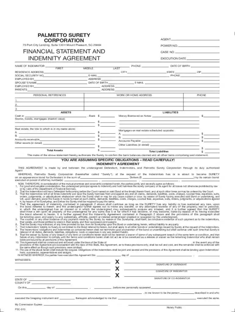 palmetto surety forms Preview on Page 1
