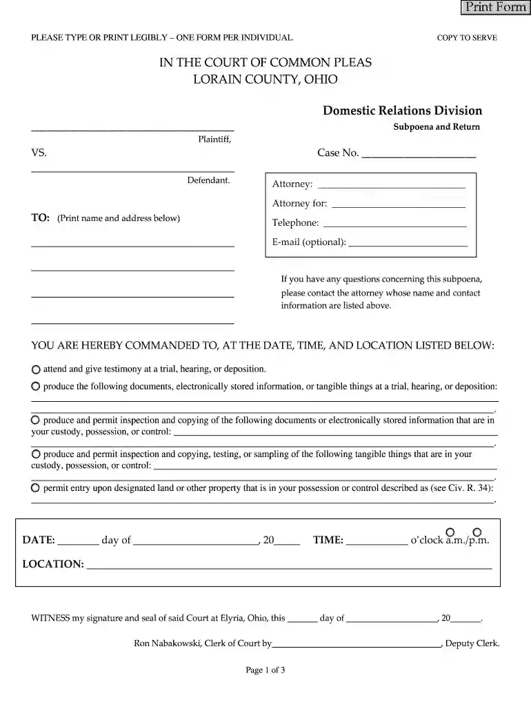 lorain county clerk of courts forms Preview on Page 1