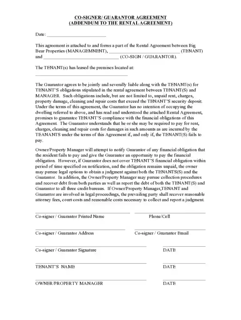 Co-Signer Addendum Template: Rent Protection With One Preview on Page 1