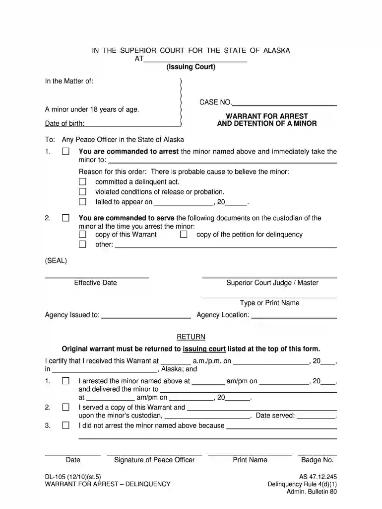 DL-105 - Alaska Court Records - State of Alaska Preview on Page 1