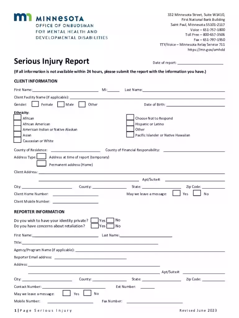 Minnesota Serious Injury Report Form Preview on Page 1