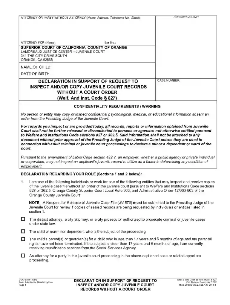 declaration juvenile form Preview on Page 1