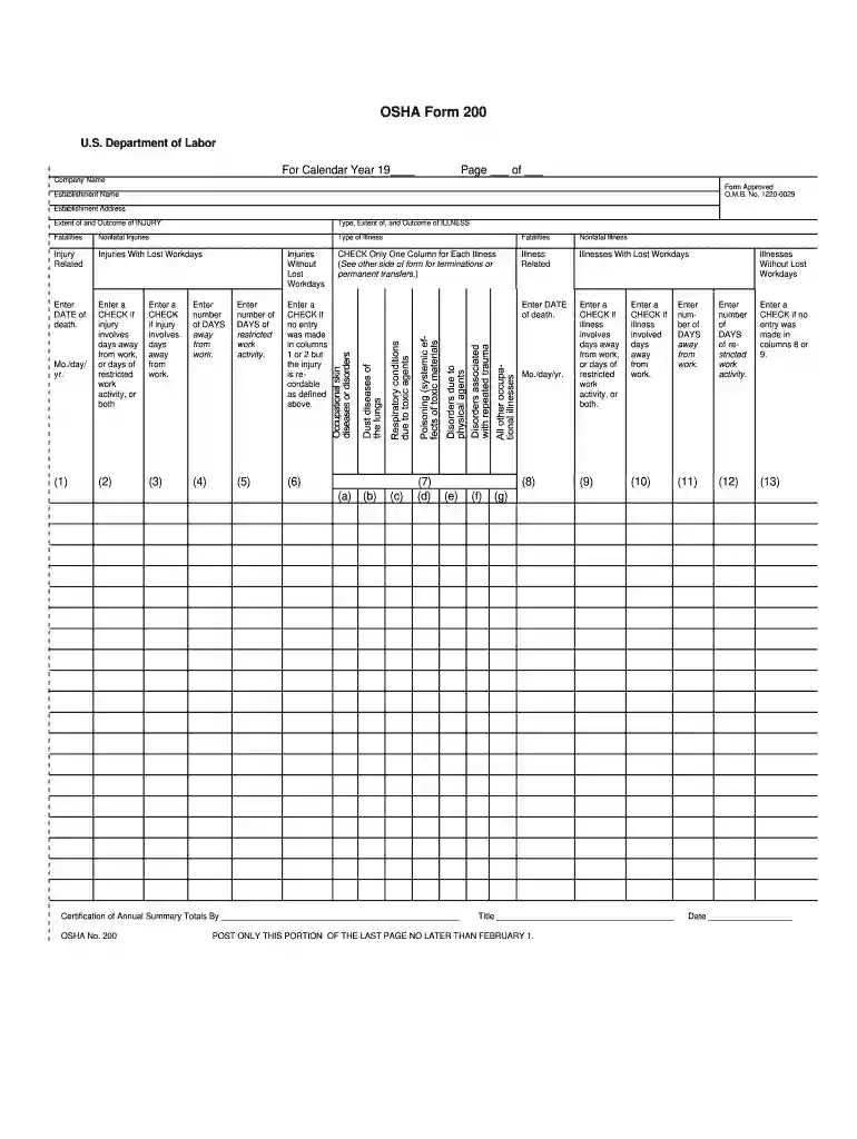 osha 200 log Preview on Page 1