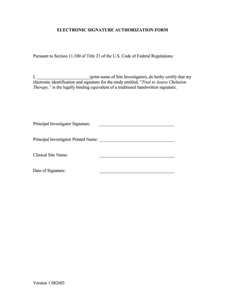signature authorization form Preview on Page 1