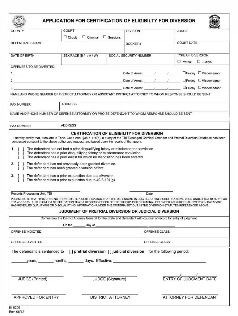 tbi diversion application Preview on Page 1