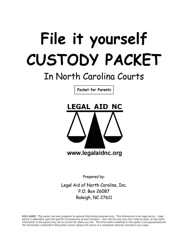 custody packet nc Preview on Page 1
