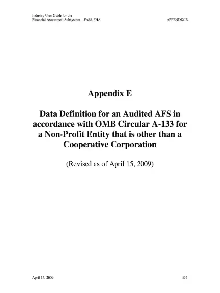 appendix e definition Preview on Page 1