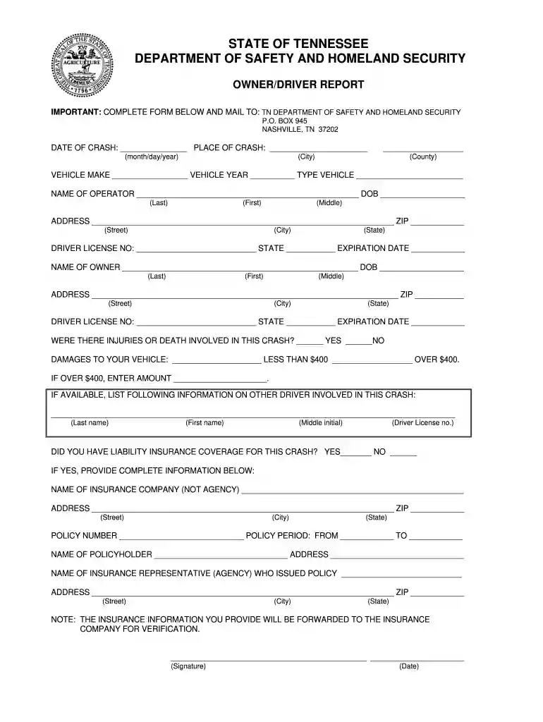 tn snap simplified reporting form Preview on Page 1