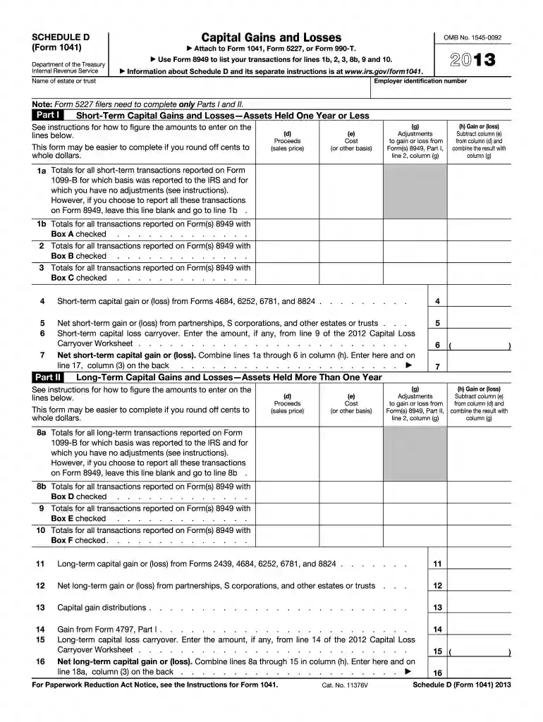 2013 irs capital form Preview on Page 1