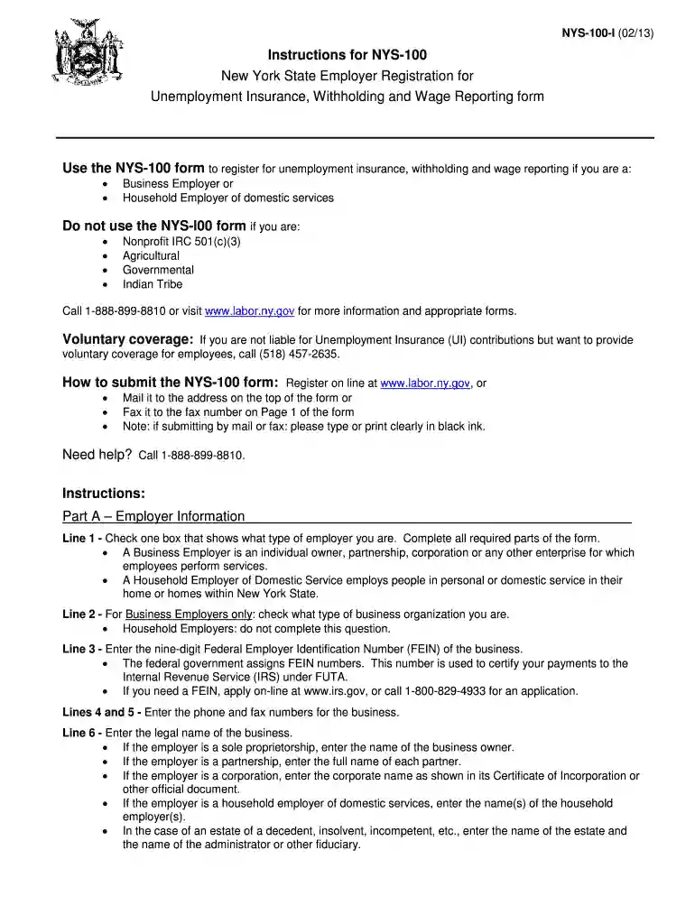 nys 100 fill in form 2013 Preview on Page 1