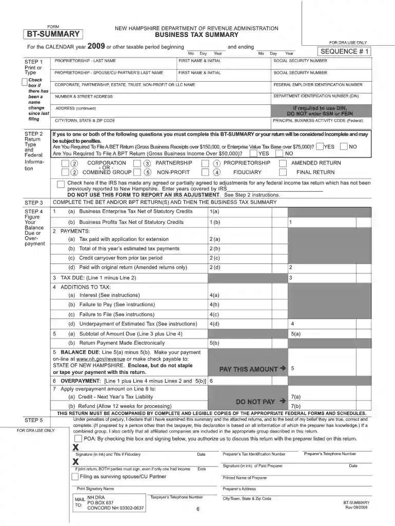 bt summary 2009 form Preview on Page 1