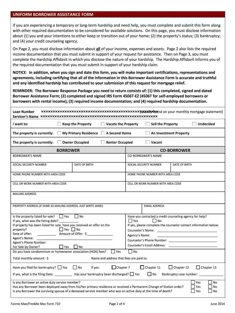 uniform borrower assistance form Preview on Page 1