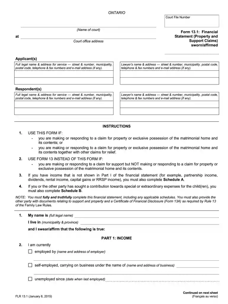 form 13 financial statement Preview on Page 1