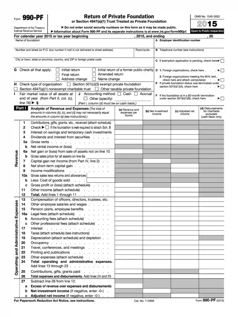 2015 990pf form Preview on Page 1