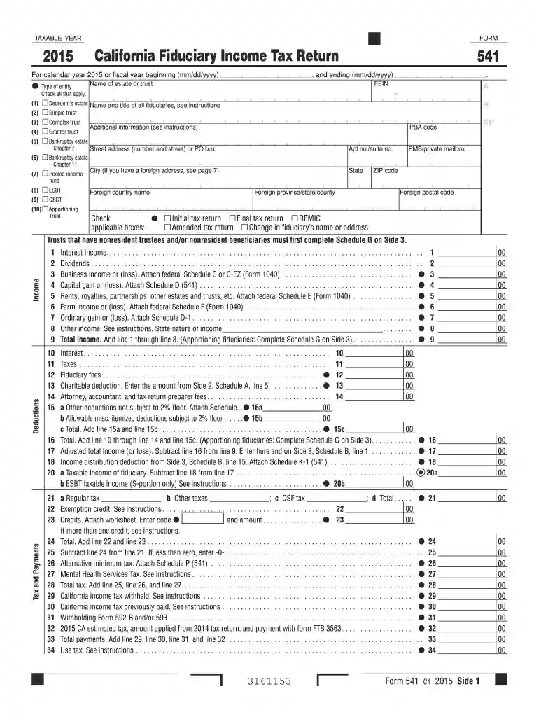 form 541 Preview on Page 1
