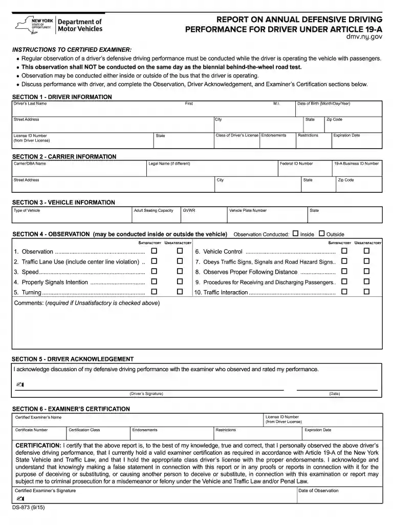 ds873 Preview on Page 1