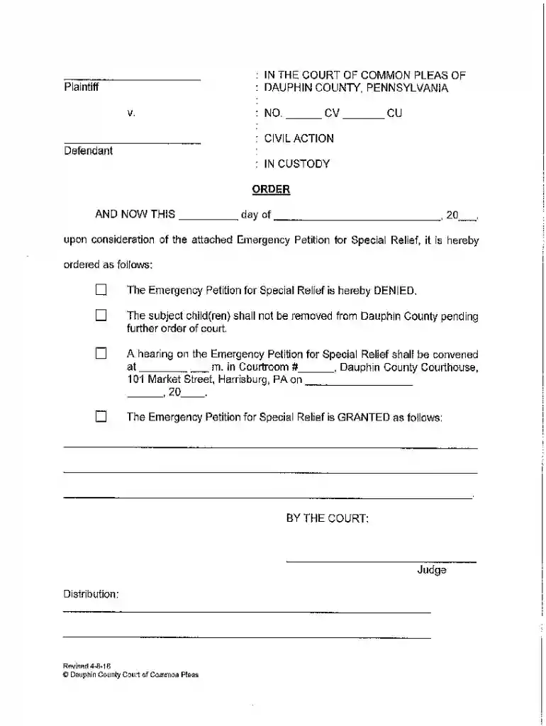 file for emergency custody in pa online Preview on Page 1