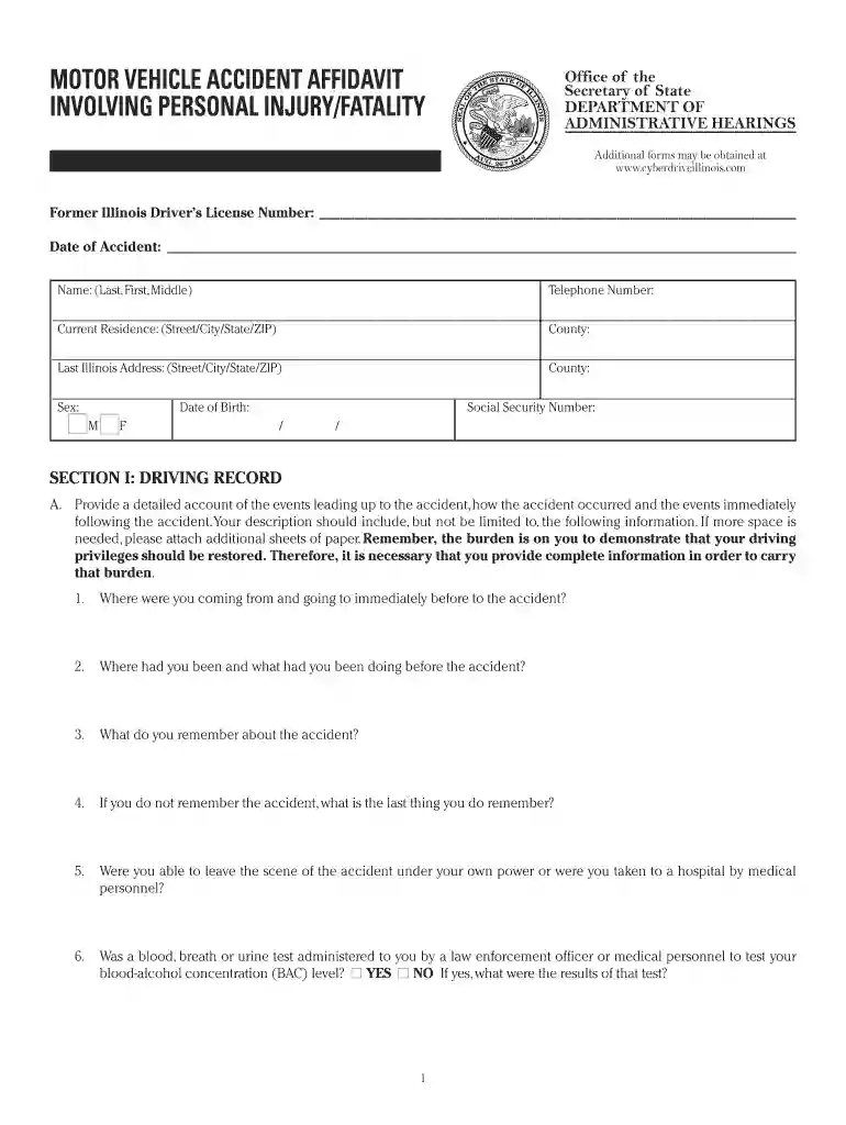 accident affidavit sample Preview on Page 1