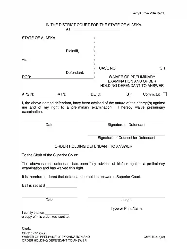 310 preliminary examination Preview on Page 1