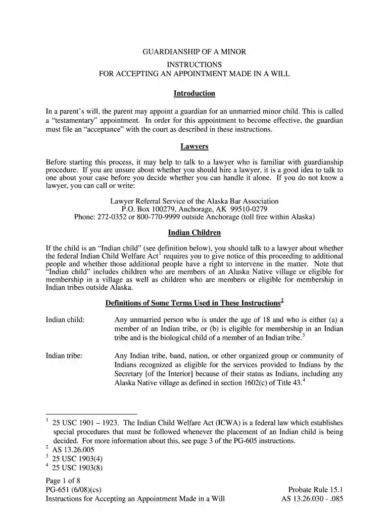INSTRUCTIONS FOR FILING GUARDIANSHIP PETITION Preview on Page 1
